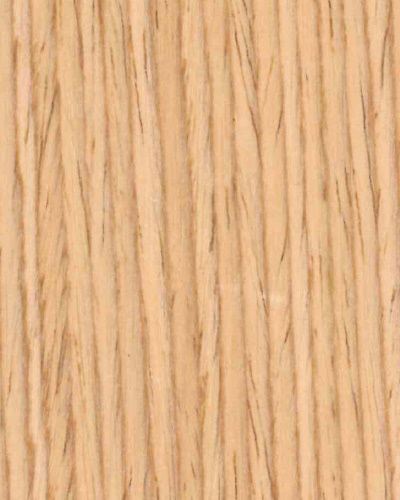 Quercia